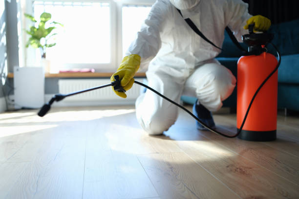 Affordable Sewage Cleanup solutions in Allendale, SC
